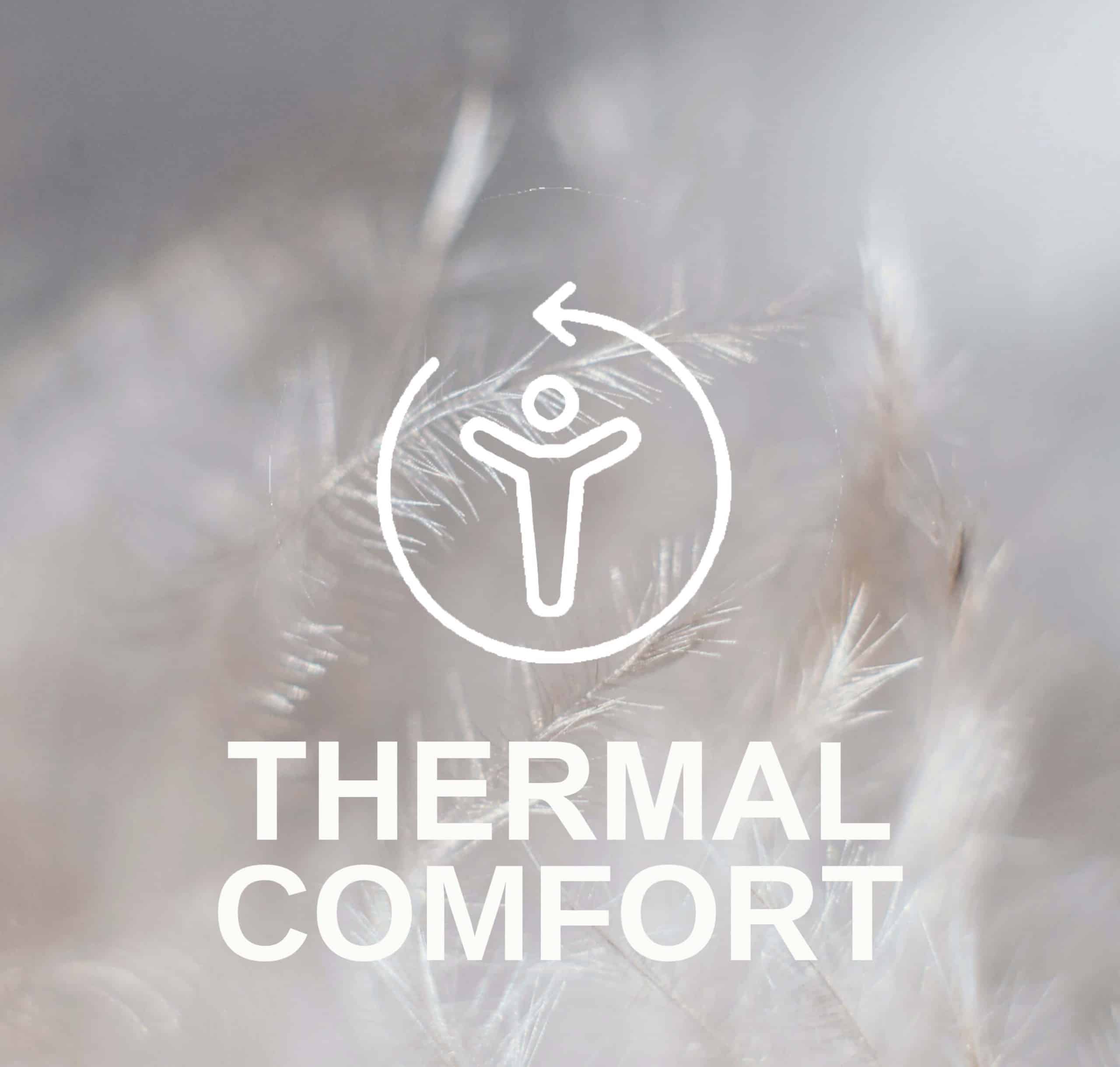 THERMAL-COMFORT-1-scaled.jpg